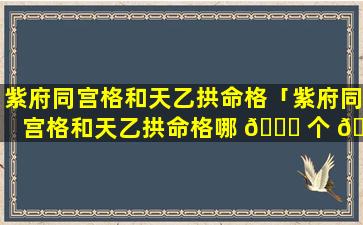 紫府同宫格和天乙拱命格「紫府同宫格和天乙拱命格哪 🐋 个 🐦 好」